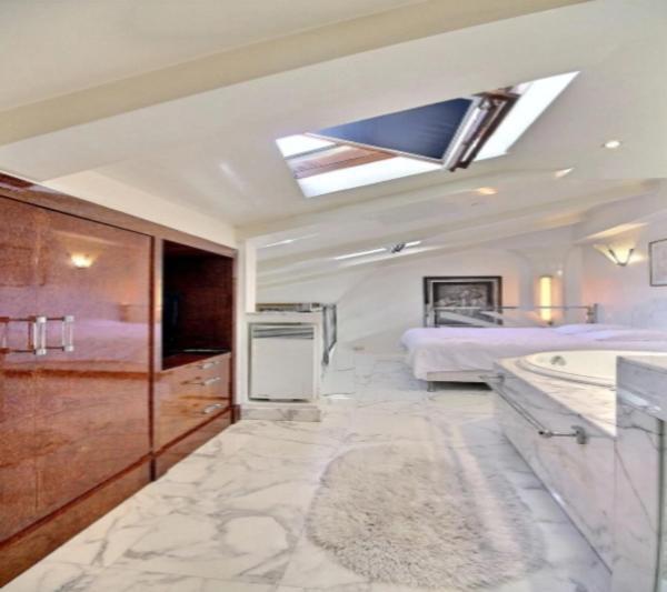 Louvre Terrace Apartment