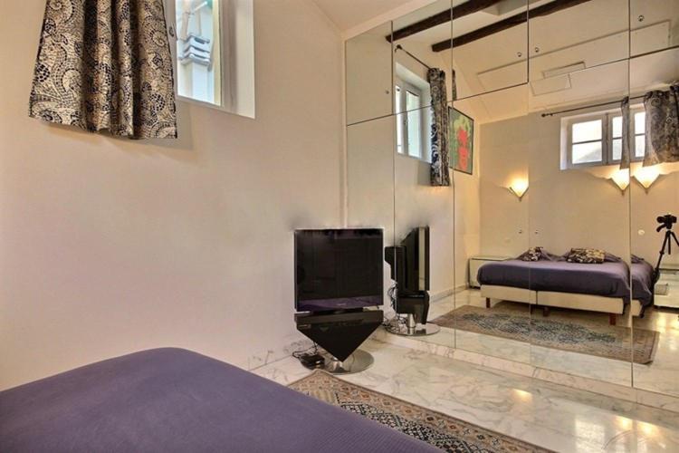 Louvre Terrace Apartment Paris